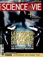 Fusion : la prouesse du stellarator vignette