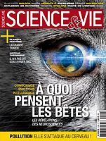 A quoi pensent les bêtes vignette